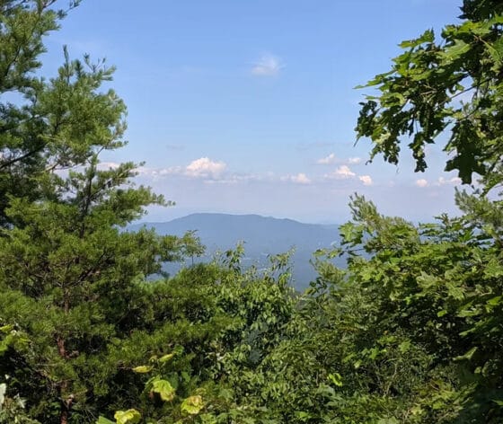 big frog trail 560x472 1